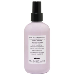 Купить спрей-праймер Davines Your Hair Assistant Blowdry Primer